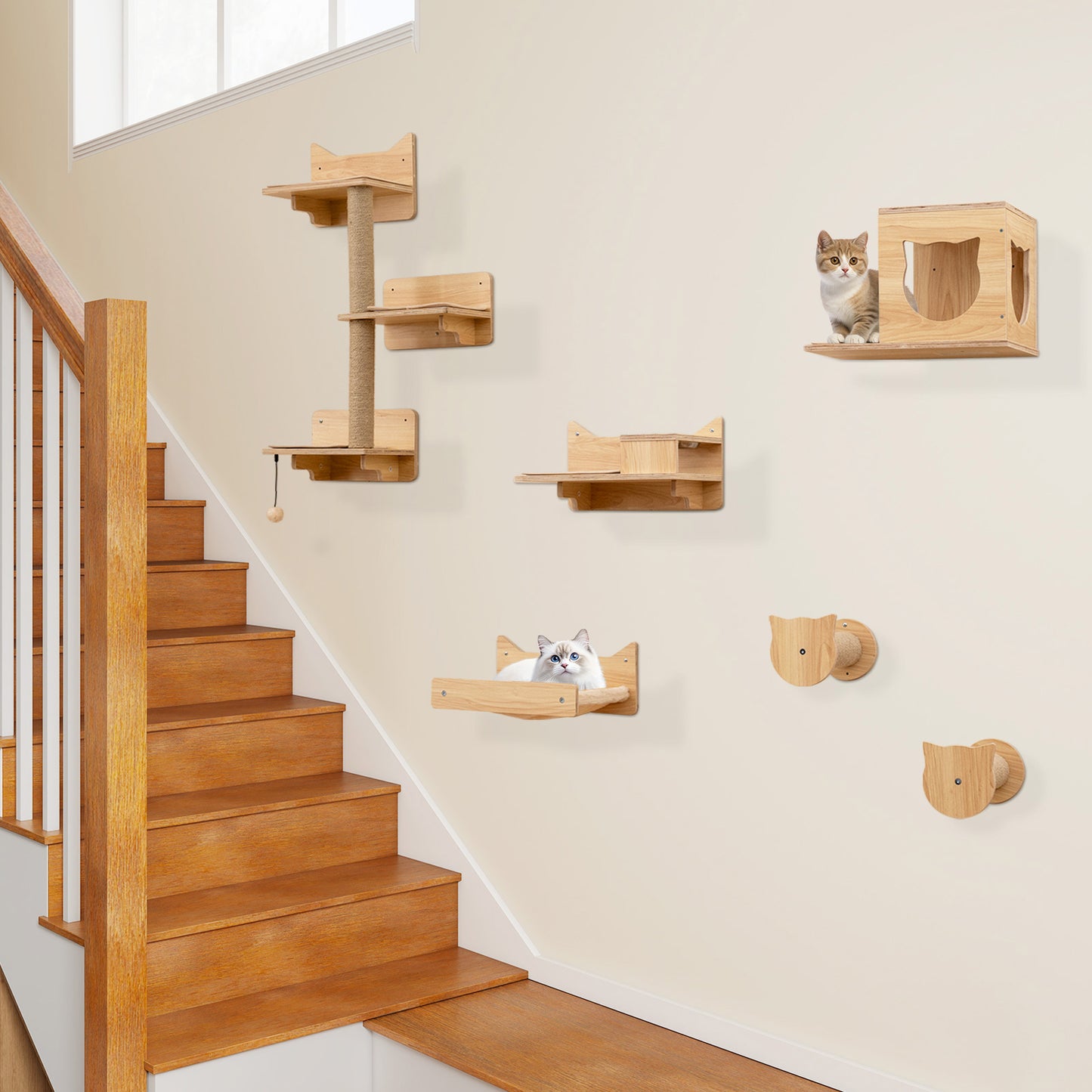 6-Piece Cat Wall Furniture Set, Shelves, Natural Cat Trees Condos & Scratchers at Gallery Canada