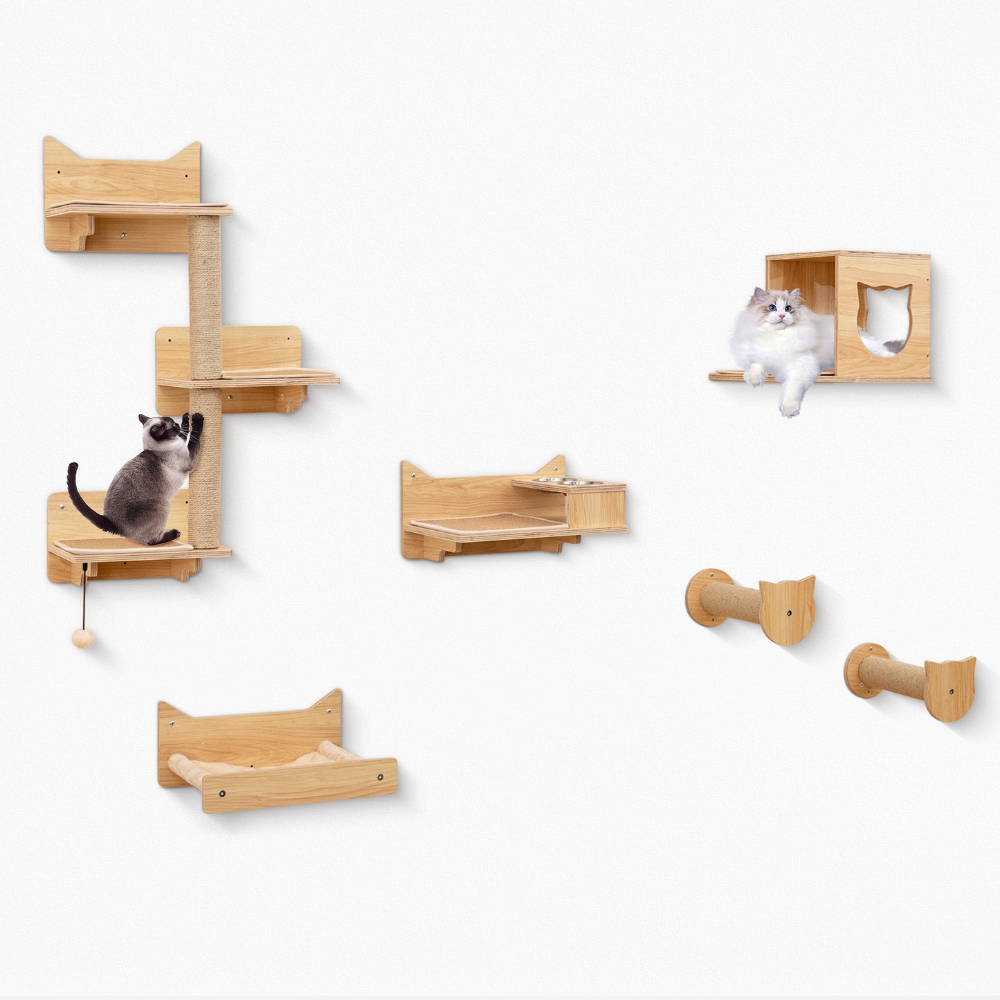 6-Piece Cat Wall Furniture Set, Shelves, Natural Cat Trees Condos & Scratchers at Gallery Canada