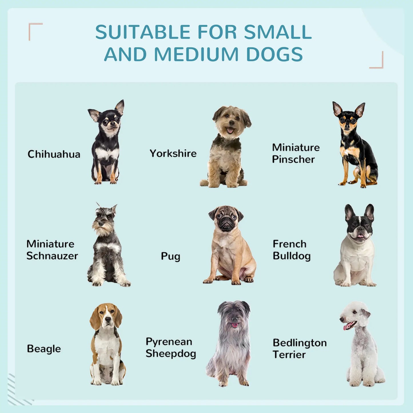 Extendable Wicker Dog Bed, Soft Cushion Washable Cover, Small Medium Dogs, Blue Houses, Kennels & Pens at Gallery Canada