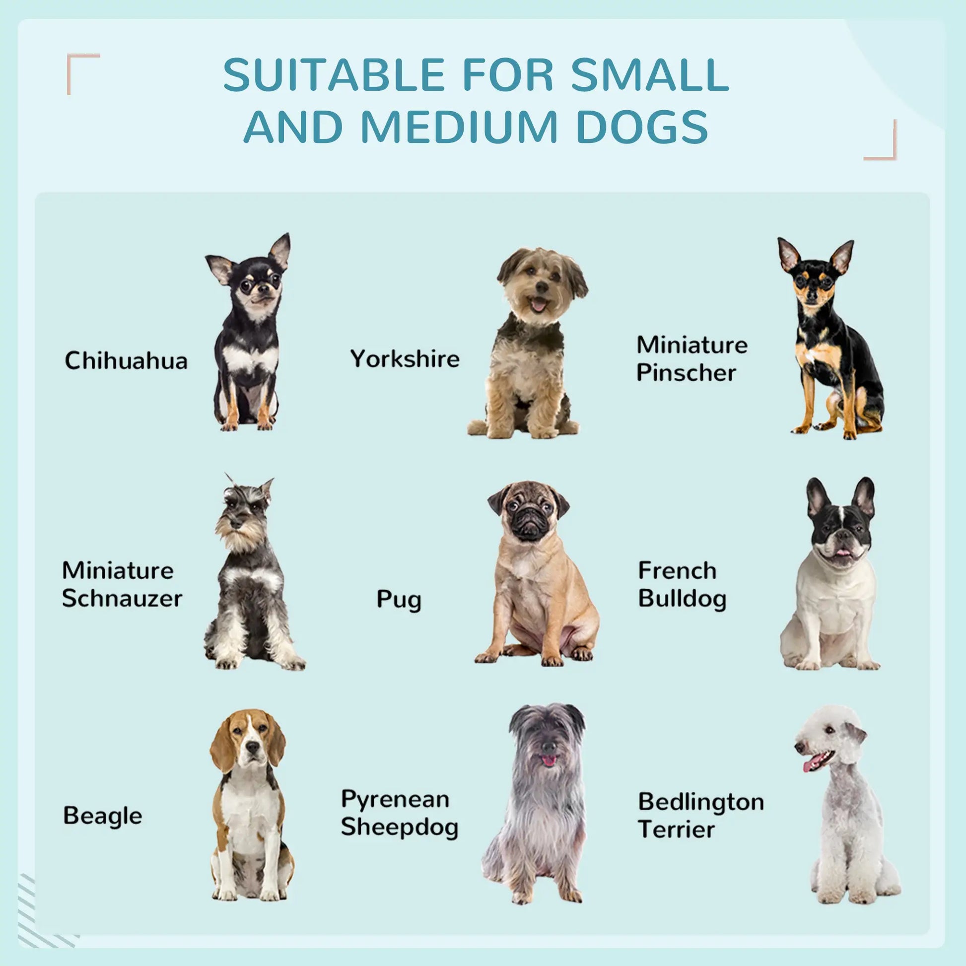 Extendable Wicker Dog Bed, Soft Cushion Washable Cover, Small Medium Dogs, Blue Houses, Kennels & Pens at Gallery Canada