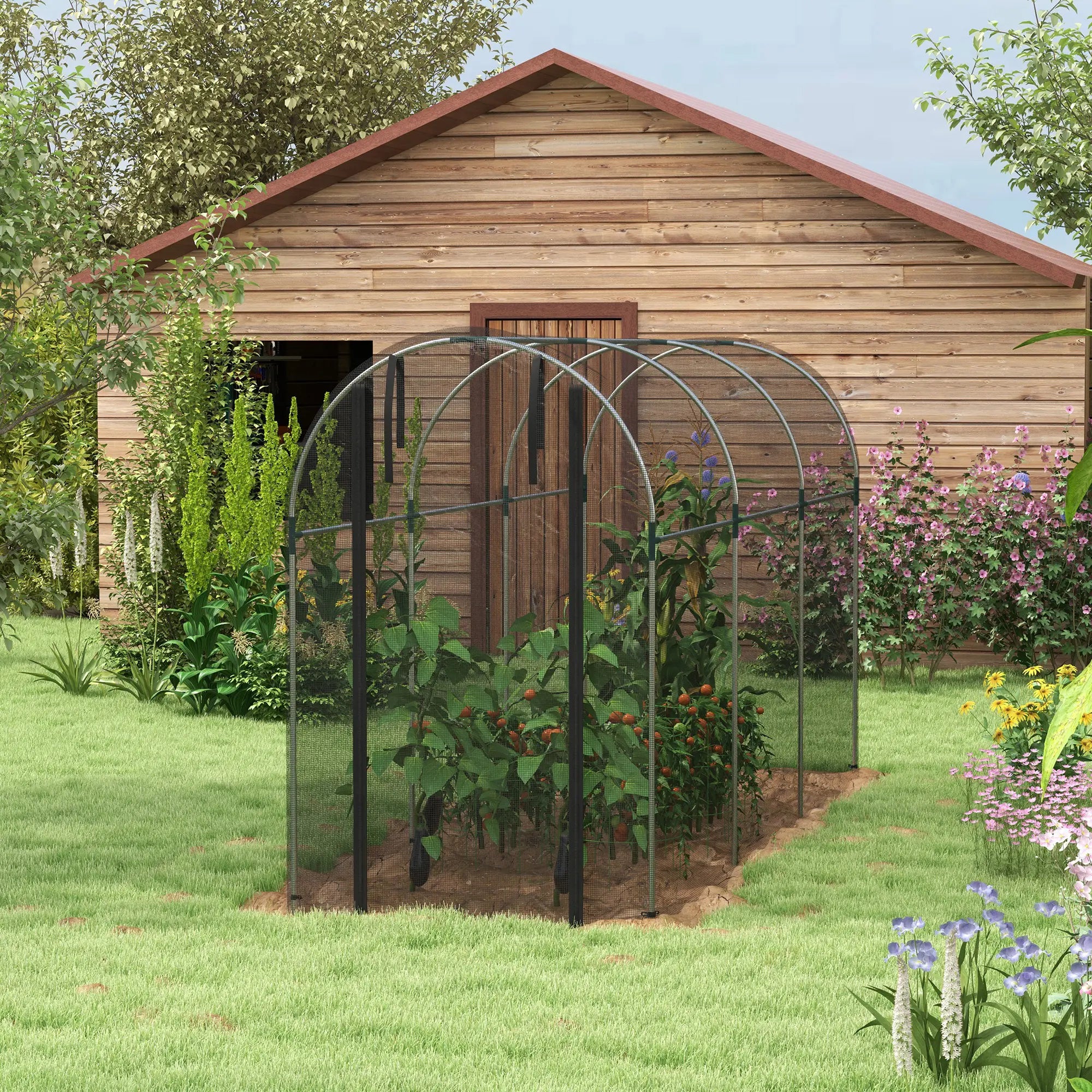 Galvanized Steel Crop Cage, Plant Protection Tent, 4' x 12', Black Walk In Greenhouses at Gallery Canada