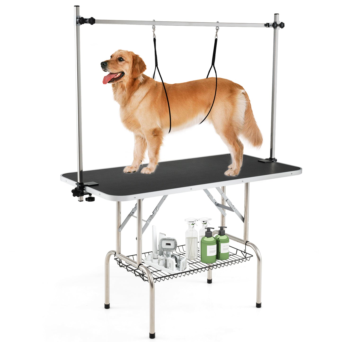 Foldable Dog Grooming Table, Height Adjustable Arms, Black Dog Supplies at Gallery Canada