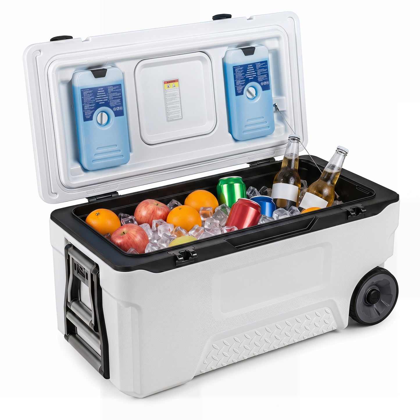 74 Quart Portable Rolling Cooler with Fish Ruler, White Coolers at Gallery Canada