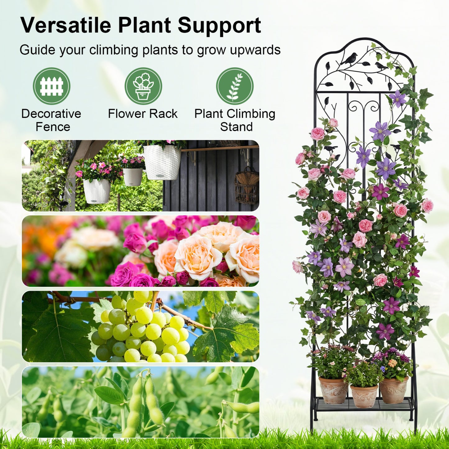 75x20 Inch Outdoor Metal Garden Trellis, Black