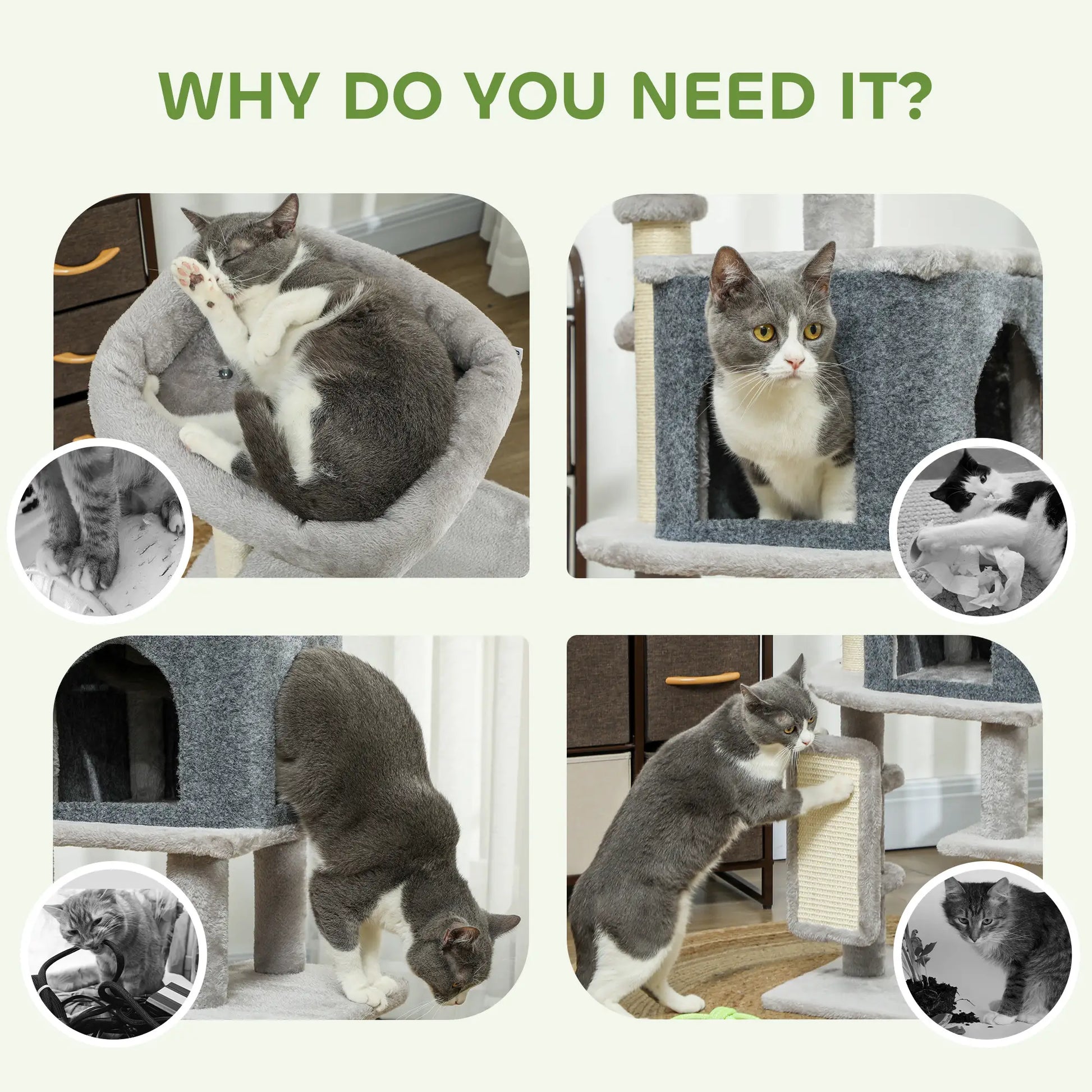 41 Inch Cat Tree, Scratching Posts, Bed, Condo, Grooming Brush Cat Trees at Gallery Canada