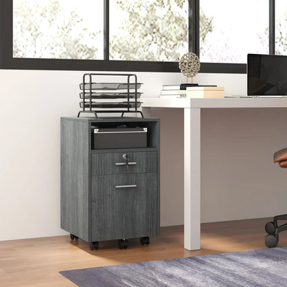 Small 2-Drawer Filing Cabinet, Lockable, On Wheels, Grey Office Cabinets & Cupboards at Gallery Canada