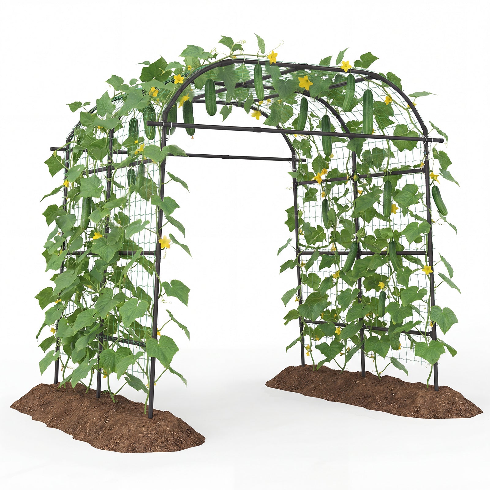 7.5 FT Metal Garden Arch Trellis For Climbing Plants, Black Plant Supports Black at Gallery Canada