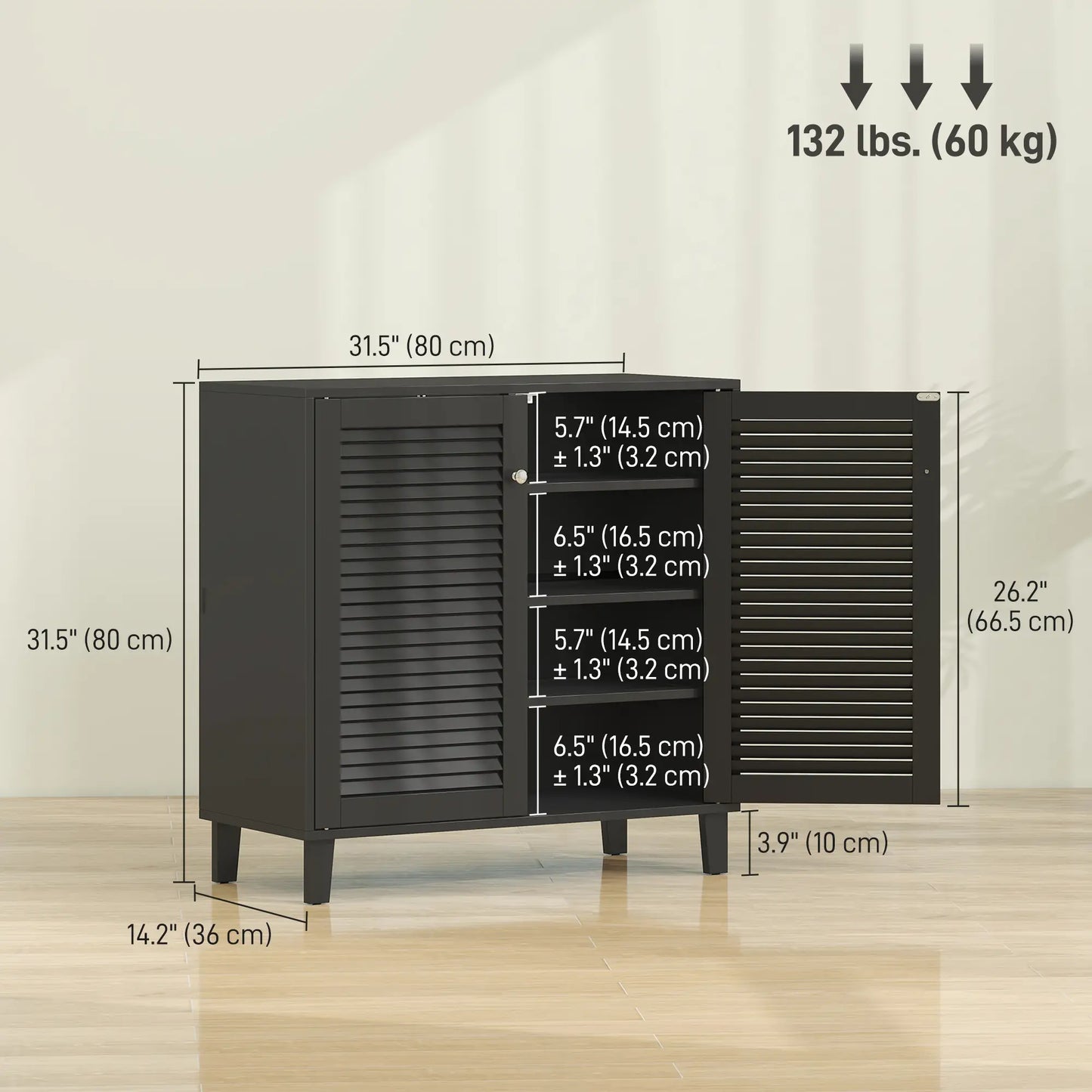 Shoe Cabinet With Adjustable Shelves, 2 Doors, Black, Black