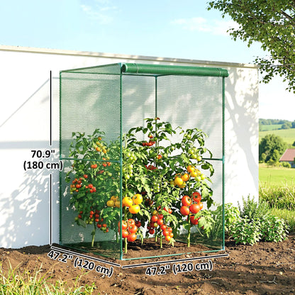 4' x 4' Walk-In Greenhouse, Roll-Up Zipper Door, Dark Green Greenhouses at Gallery Canada