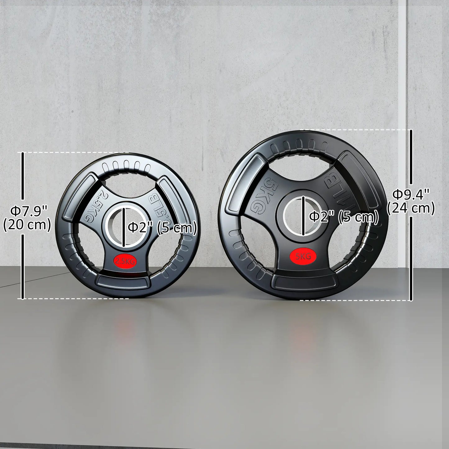 Weight Plates Set, 2-Inch Barbell Weights, 2 x 6lbs, 2 x 11lbs Dumbbells & Barbells at Gallery Canada