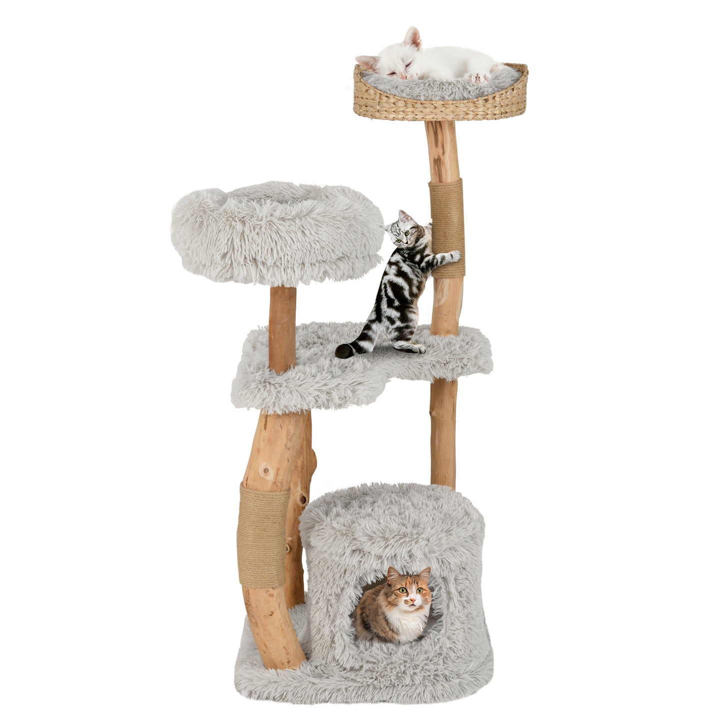 Solid Wood Cat Tower with Top Cattail Basket Cat Bed, Gray Cat Trees Condos & Scratchers at Gallery Canada