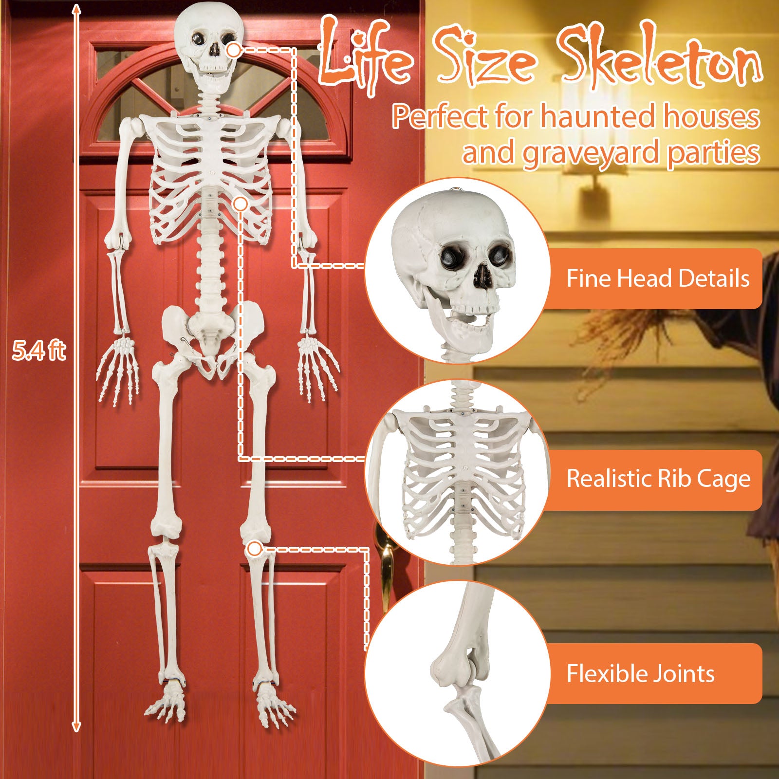 5.4 FT Life Size Large Halloween Skeleton Decoration, White Halloween at Gallery Canada