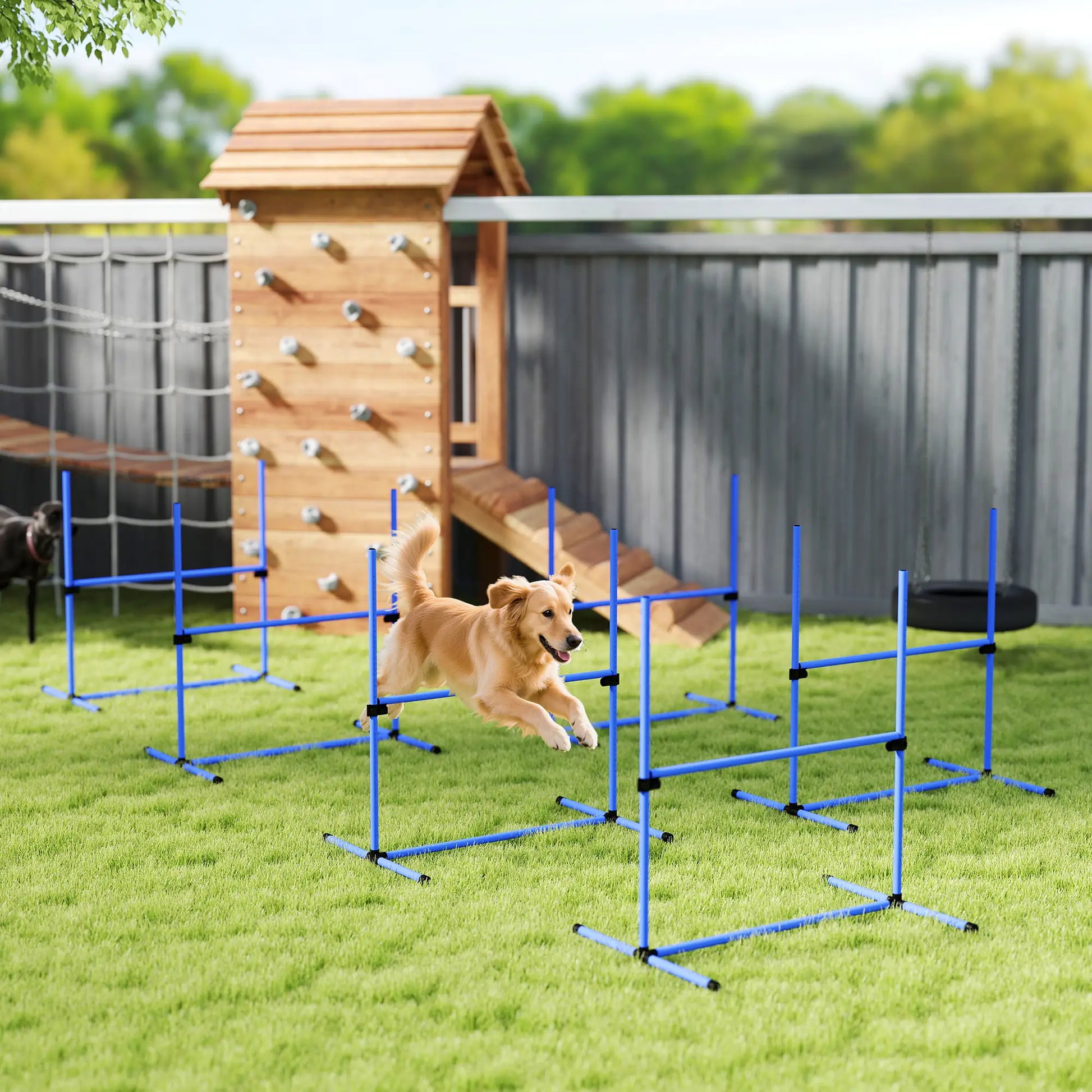 Set of 6 Dog Agility Training Jump Bars, Adjustable, Blue Dog Agility Training Equipment at Gallery Canada