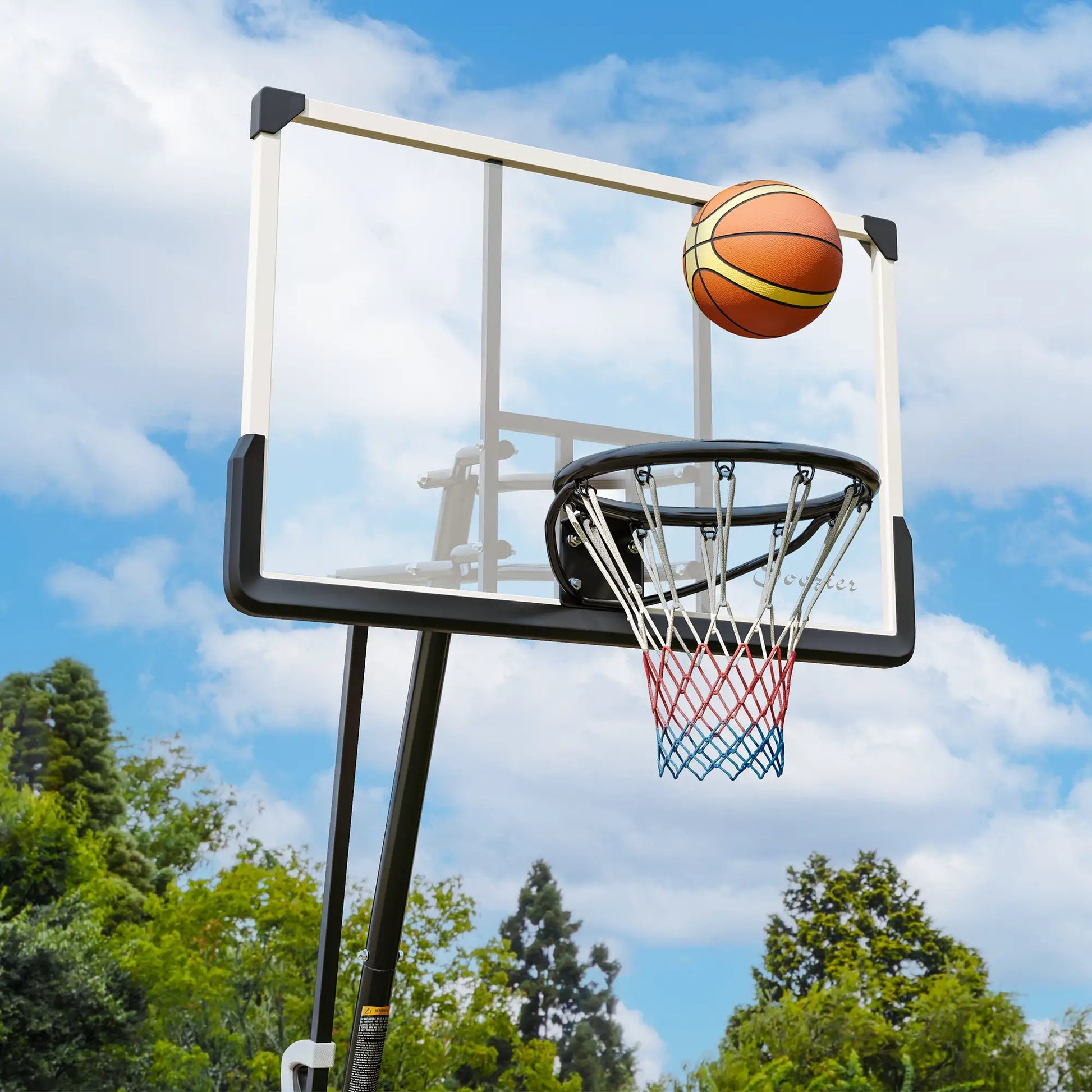 Portable Basketball Hoop, 5-10ft, 44" Shatterproof Backboard, Wheels Basketball at Gallery Canada