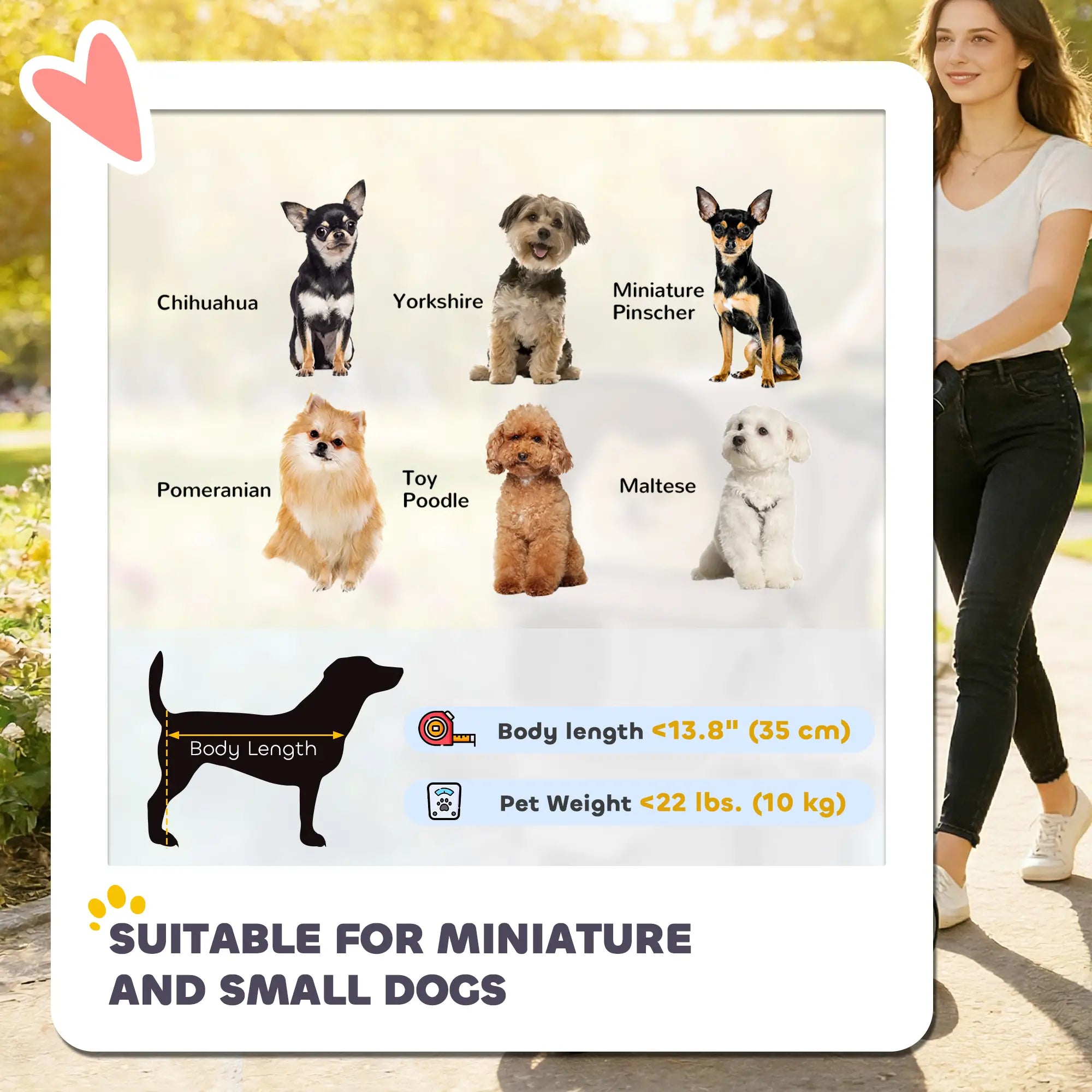 3 Wheels Foldable Dog Stroller, Storage Basket, Adjustable Canopy, Coffee Dog Bike Trailers & Strollers at Gallery Canada