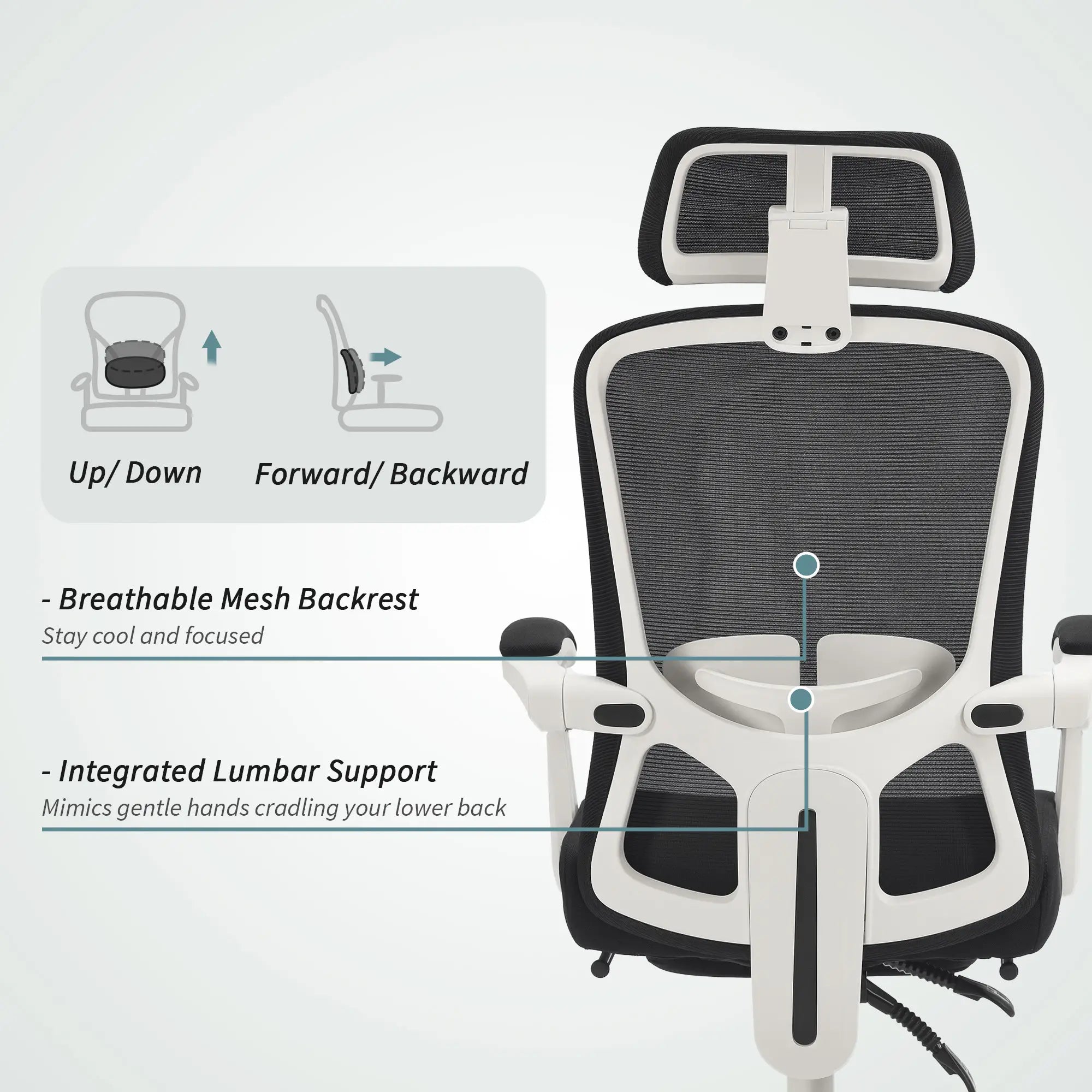 Ergonomic Office Chair, Mesh Reclining Desk Chair, Adjustable Lumbar Support, Headrest, Black Office Chairs at Gallery Canada