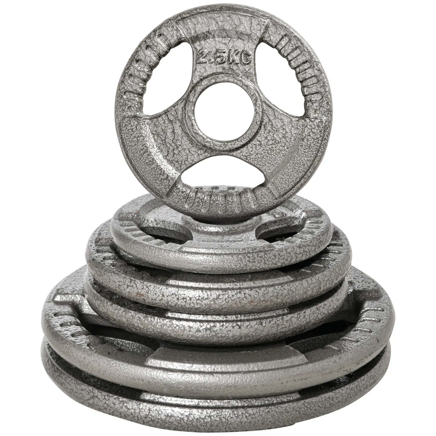 6 PCS Weight Plates, Grip Plate Set, Strength Training, 77 Lbs Dumbbells & Barbells Silver at Gallery Canada