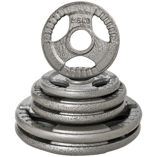 6 PCS Weight Plates, Grip Plate Set, Strength Training, 77 Lbs Dumbbells & Barbells Silver at Gallery Canada