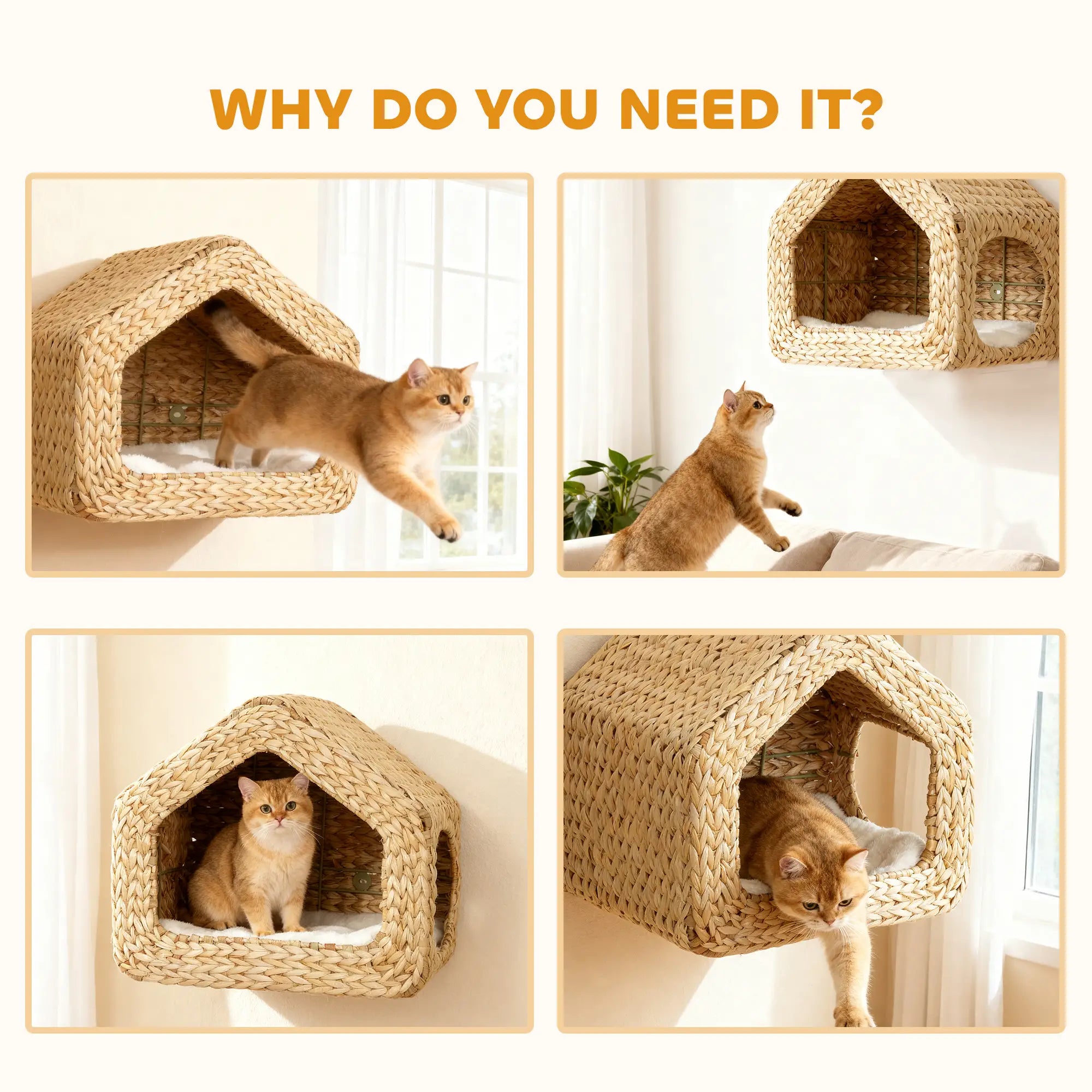 Cat Wall Shelf, Wall Mounted Cat House, Washable Cushion, Natural Cat Climbing Wall at Gallery Canada