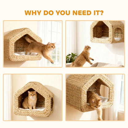 Cat Wall Shelf, Wall Mounted Cat House, Washable Cushion, Natural Cat Climbing Wall at Gallery Canada