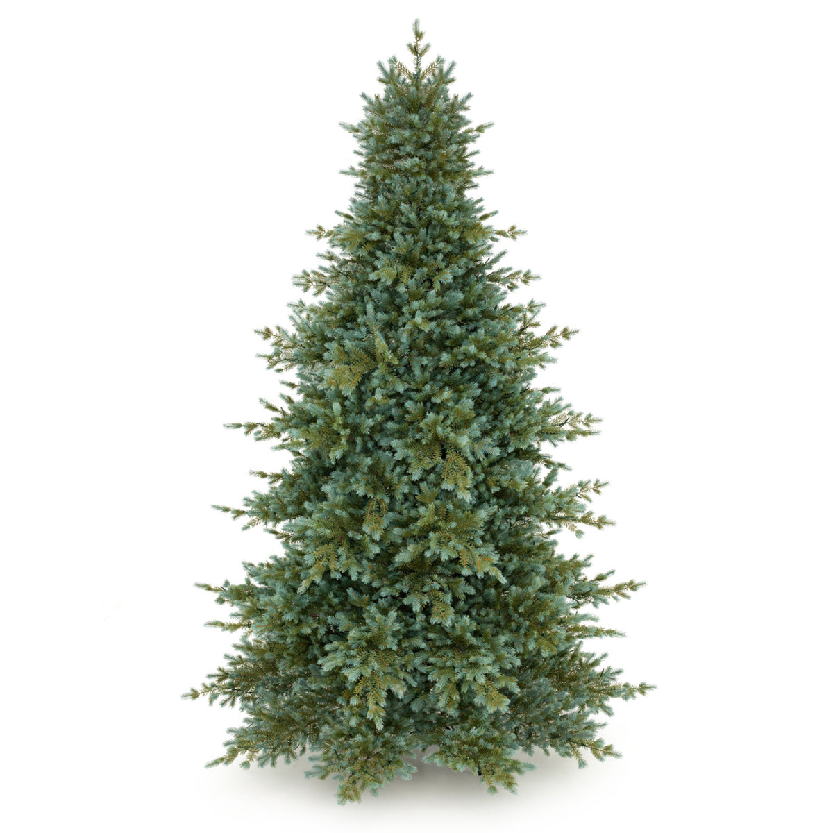 8 FT Pre-Lit Artificial Christmas Tree, 630 Warm White LED Lights, Green