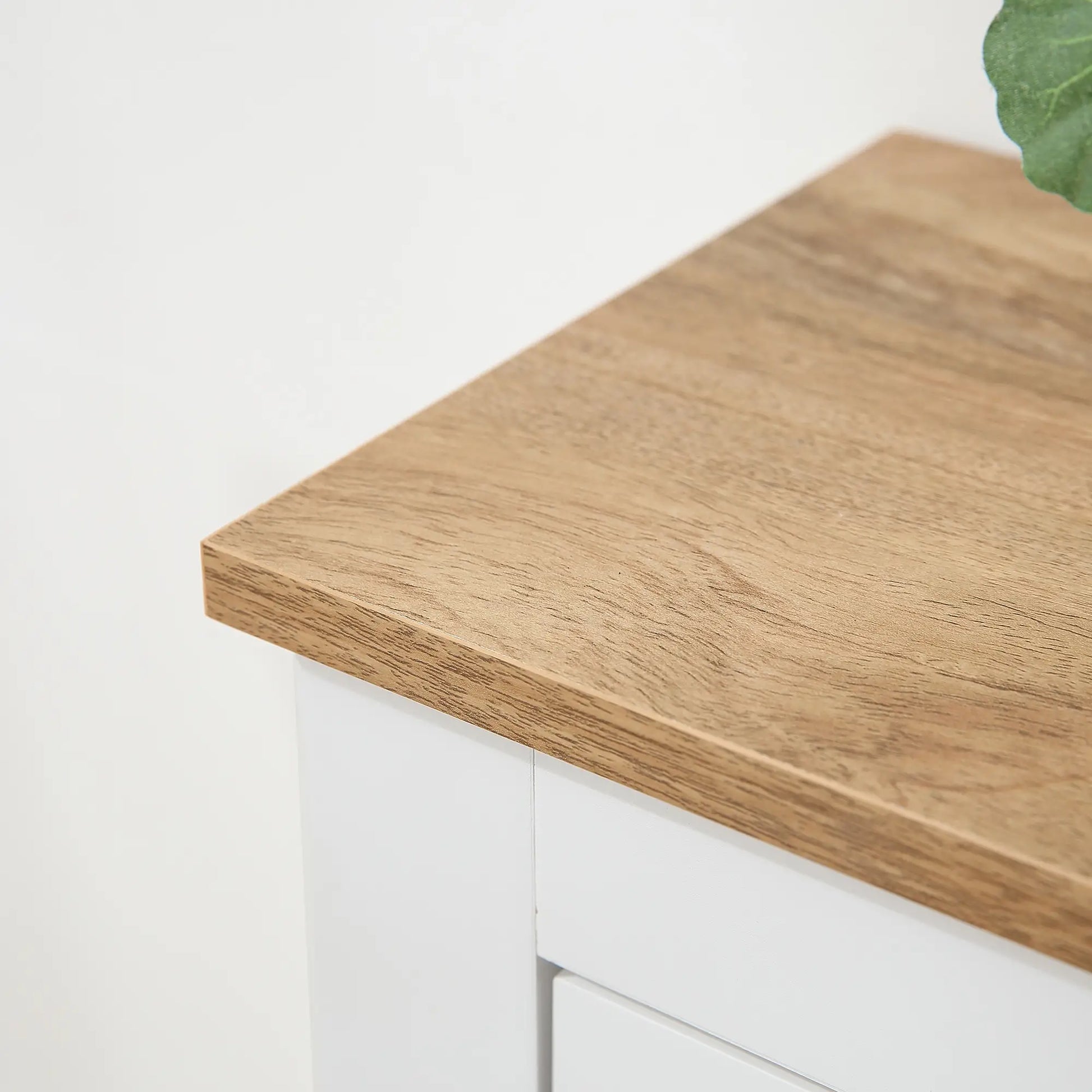 Entryway Shoe Cabinet, 2 Flip Drawers, Adjustable Shelves, 12 Pair, White Shoe Storage Cabinets & Racks at Gallery Canada