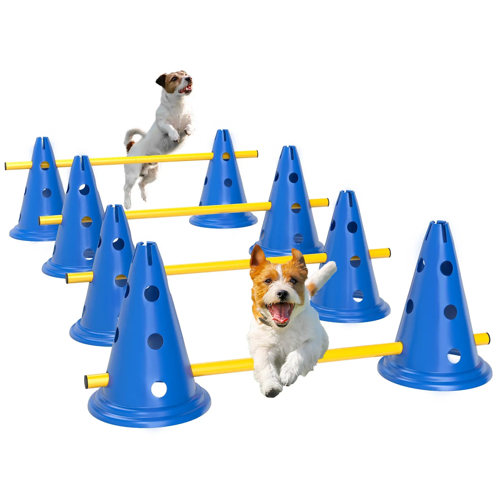 Dog Agility Hurdle Cone Set, Adjustable Obstacle Course, 8 Cones & 8 Poles, Blue Dog Agility Training Equipment at Gallery Canada