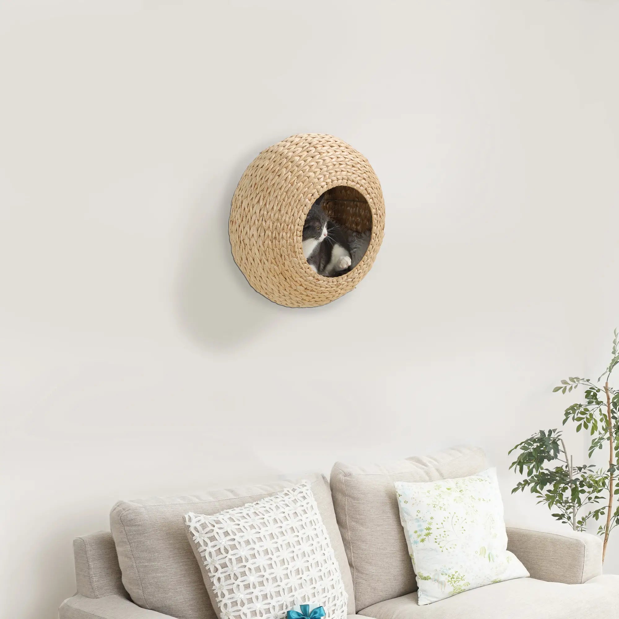 Cat Wall Shelf with Washable Cushion, Wall Mounted Cat Condo, Beige Cat Climbing Wall at Gallery Canada