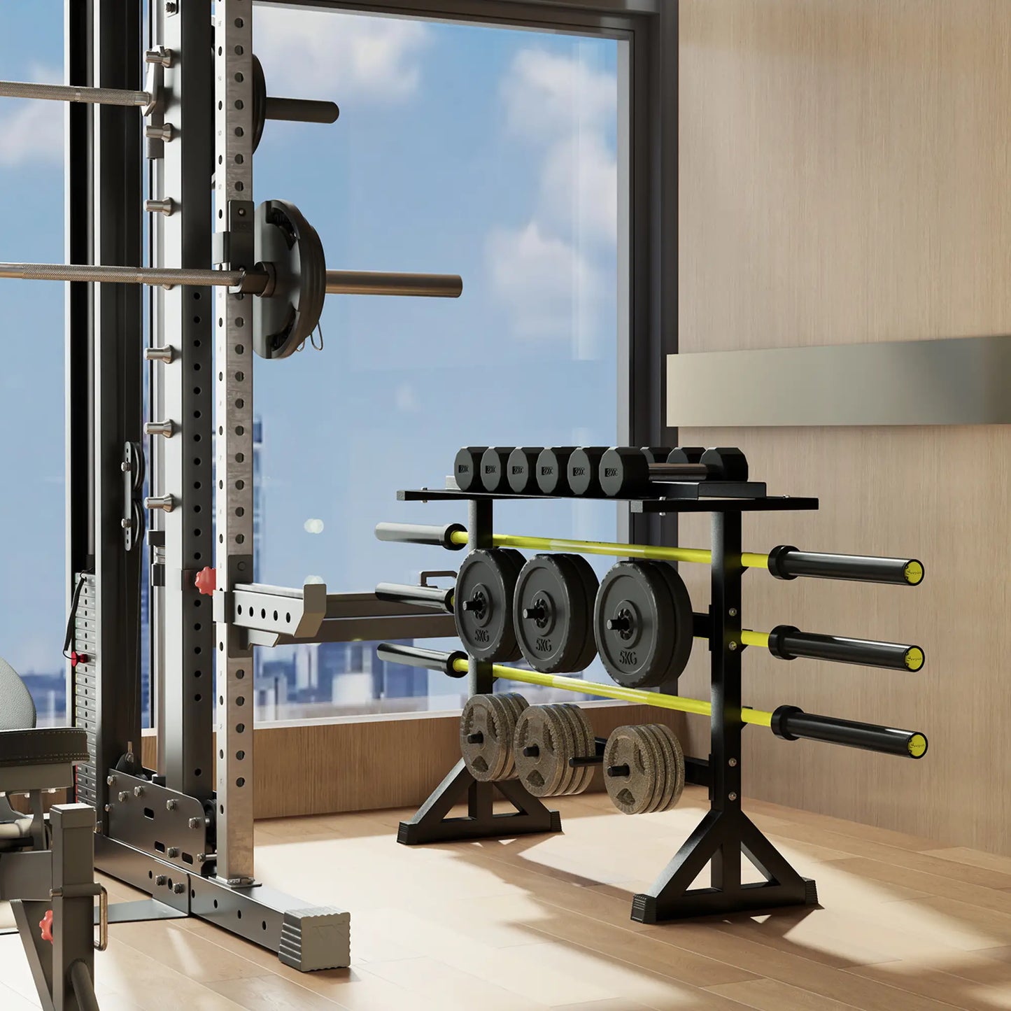 1100LBS Capacity Weight Rack, Plate and Dumbbell Rack, Home Gym Storage Benches Racks & Bars at Gallery Canada