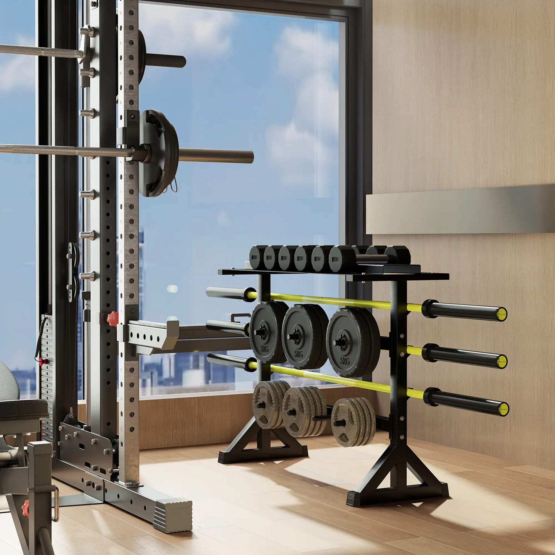 1100LBS Capacity Weight Rack, Plate and Dumbbell Rack, Home Gym Storage Benches Racks & Bars at Gallery Canada