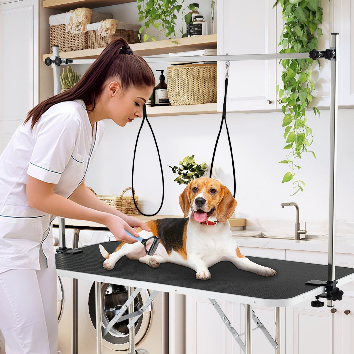 Foldable Dog Grooming Table, Height Adjustable Arms, Black Dog Supplies at Gallery Canada