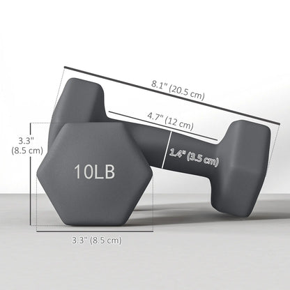 Hexagonal Dumbbells, 10LBS Set of 2, Non-Slip Grip Dumbbells & Barbells at Gallery Canada