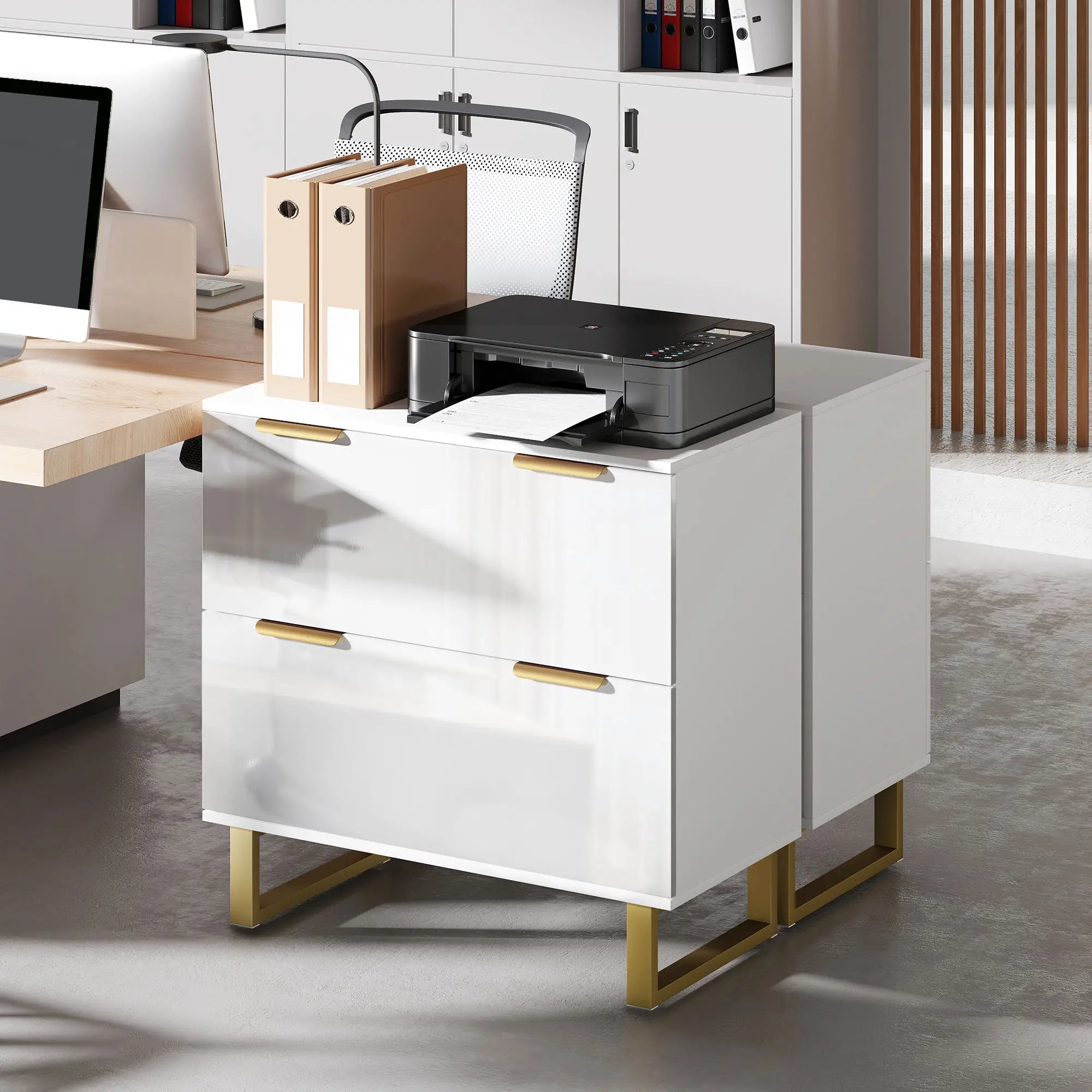 2 Drawer Lateral File Cabinet, Letter/A4/Legal Size, High Gloss White, White Office Cabinets & Cupboards at Gallery Canada