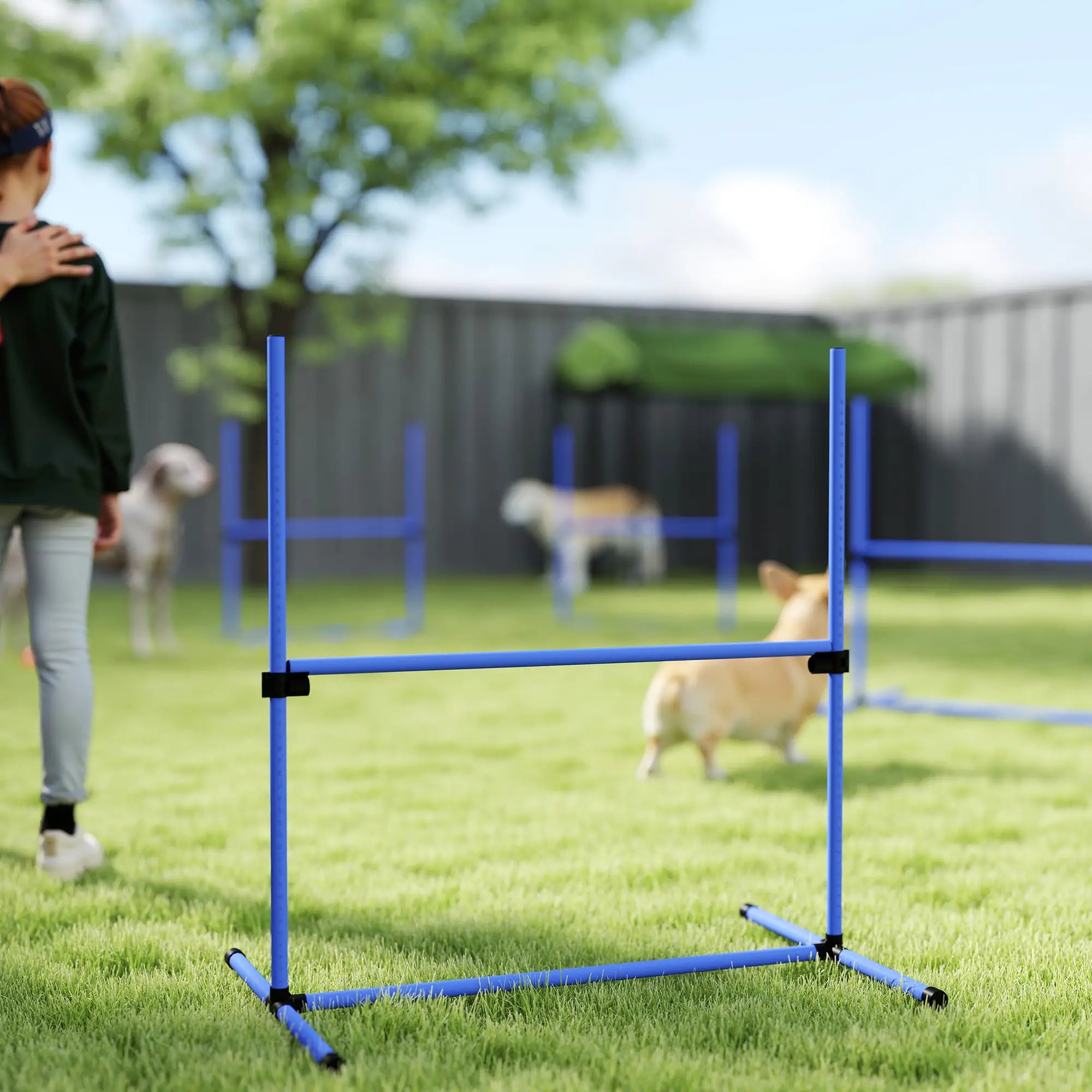 Dog Agility Training Set, 4 Adjustable Jump Bars, Exercise Kit, Blue Dog Agility Training Equipment at Gallery Canada
