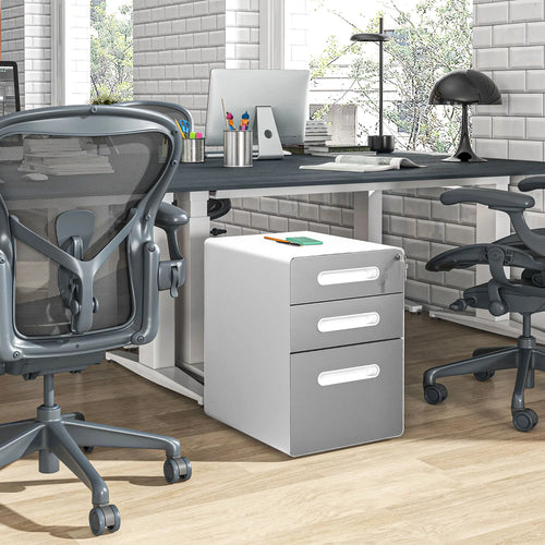 Lockable Steel File Cabinet on Wheels, Legal, A4, Letter Size