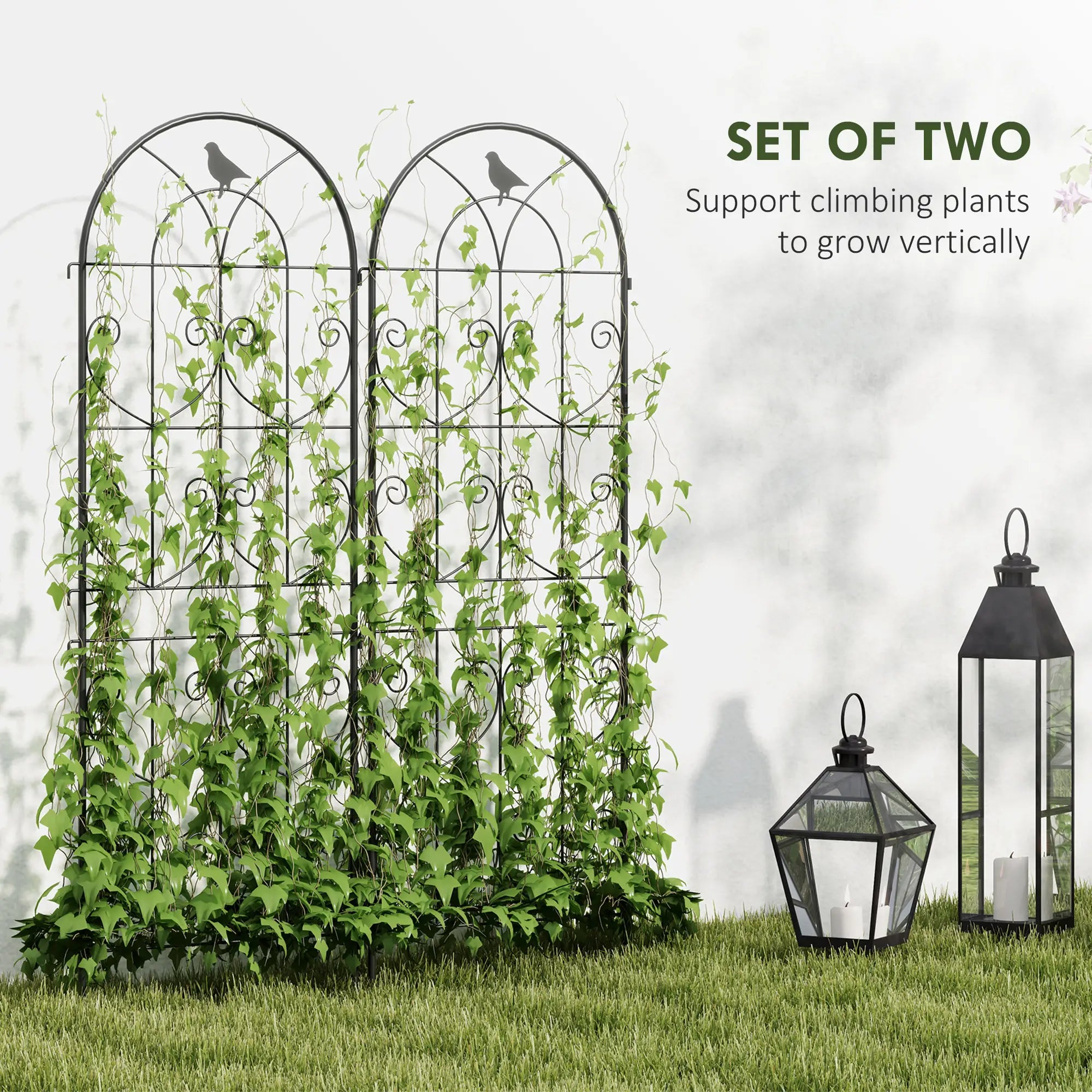 Metal Garden Trellis Set, Bird Design, 150 x 50 cm, Black Plant Stands at Gallery Canada