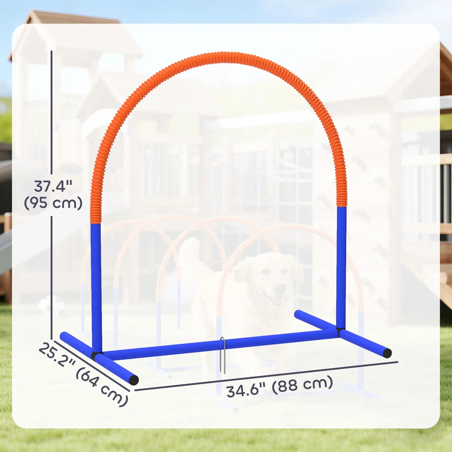 Dog Agility Training Equipment, 4 Pcs Obstacle Course, Blue Dog Agility Training Equipment at Gallery Canada