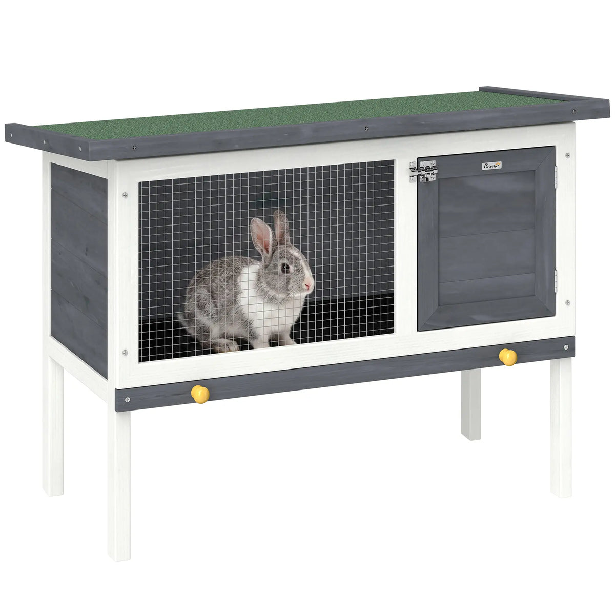 Clapier en bois pour lapin et cochon d'Inde avec toit en asphalte