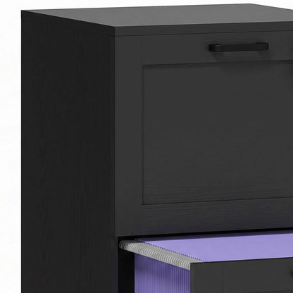 Vertical Filing Cabinet, 2 Drawers, Lock, A4 Letter, Black