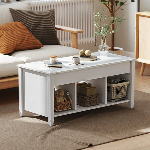 Lift Top Coffee Table, Storage Shelves, Hidden Compartment, 41