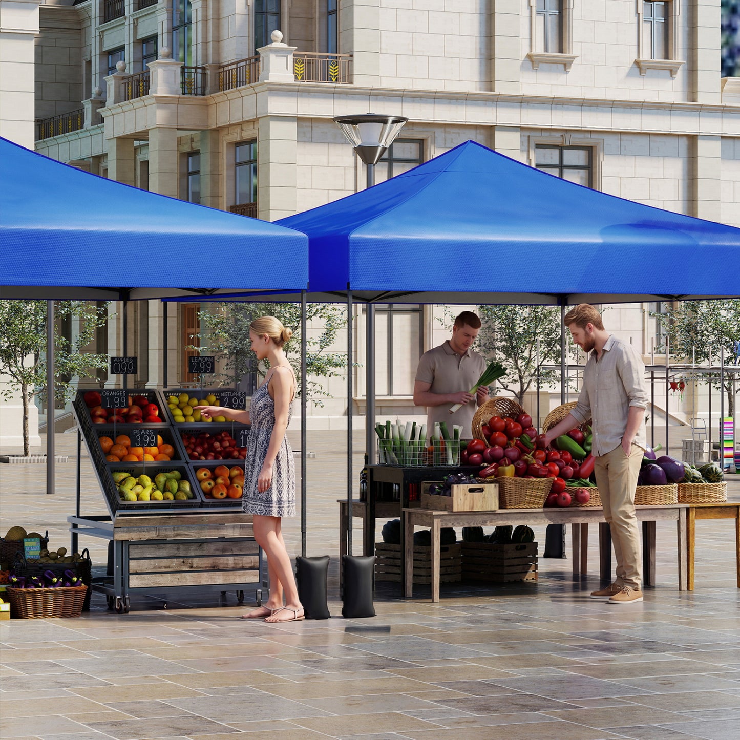 9.5 x 9.5 Feet Pop Up Canopy Tent, Adjustable Height, Blue Canopies at Gallery Canada