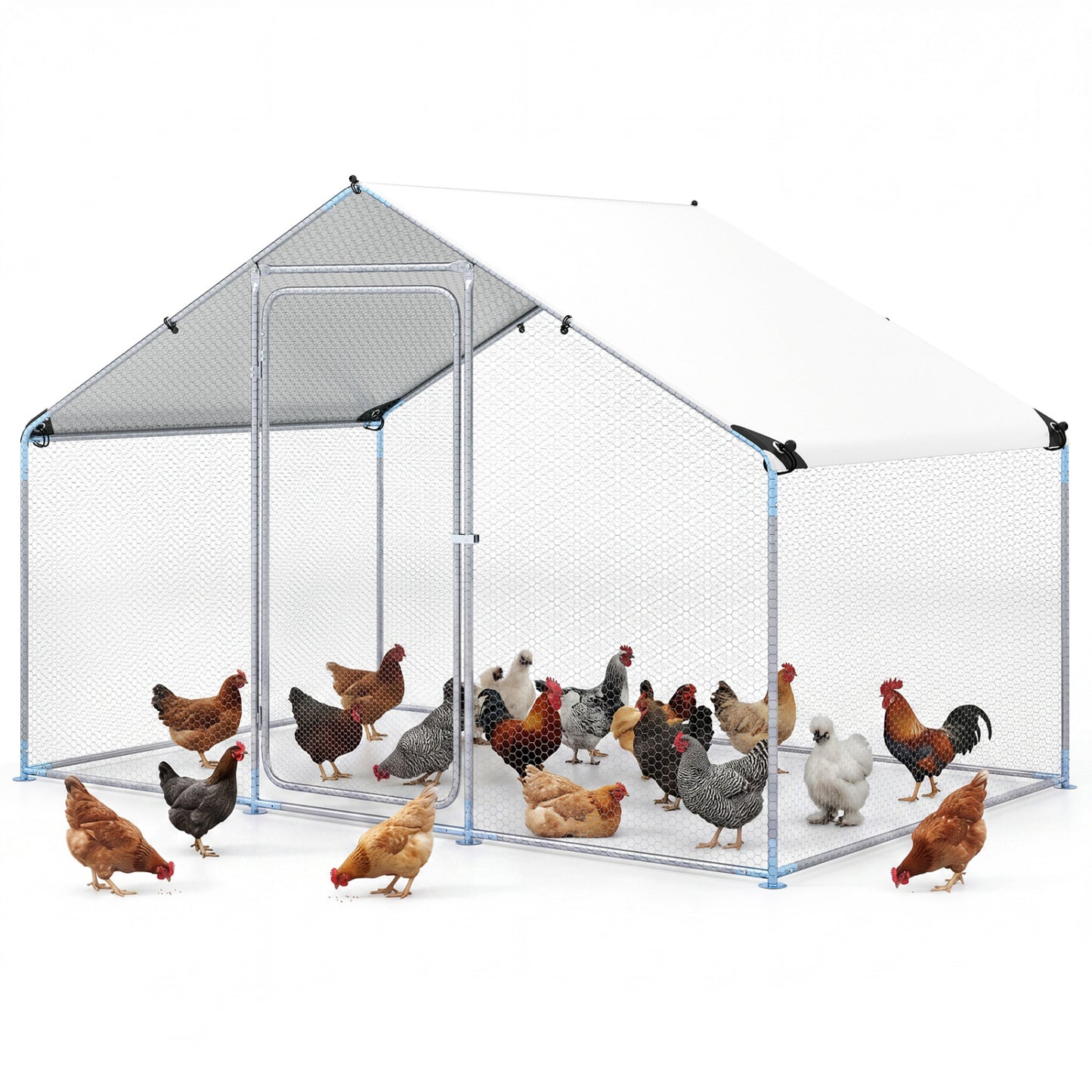 9.8 x 6.7 Feet Large Metal Chicken Coop with Waterproof Cover Chicken Coops at Gallery Canada