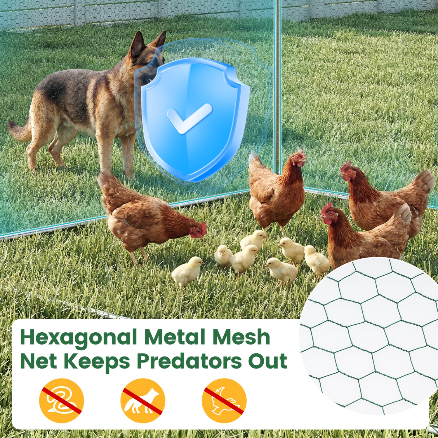 9.8 x 6.7 Feet Large Metal Chicken Coop with Waterproof Cover Chicken Coops at Gallery Canada