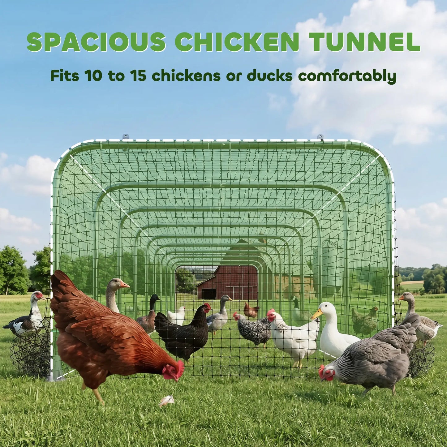Extra Long Chicken Tunnel for Outside, 354" x 39" Galvanized Steel Chicken Run for 10-15 Chickens or Ducks Chicken Coops at Gallery Canada