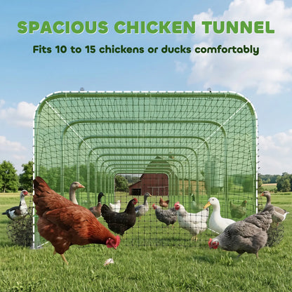 Extra Long Chicken Tunnel for Outside, 354" x 39" Galvanized Steel Chicken Run for 10-15 Chickens or Ducks Chicken Coops at Gallery Canada