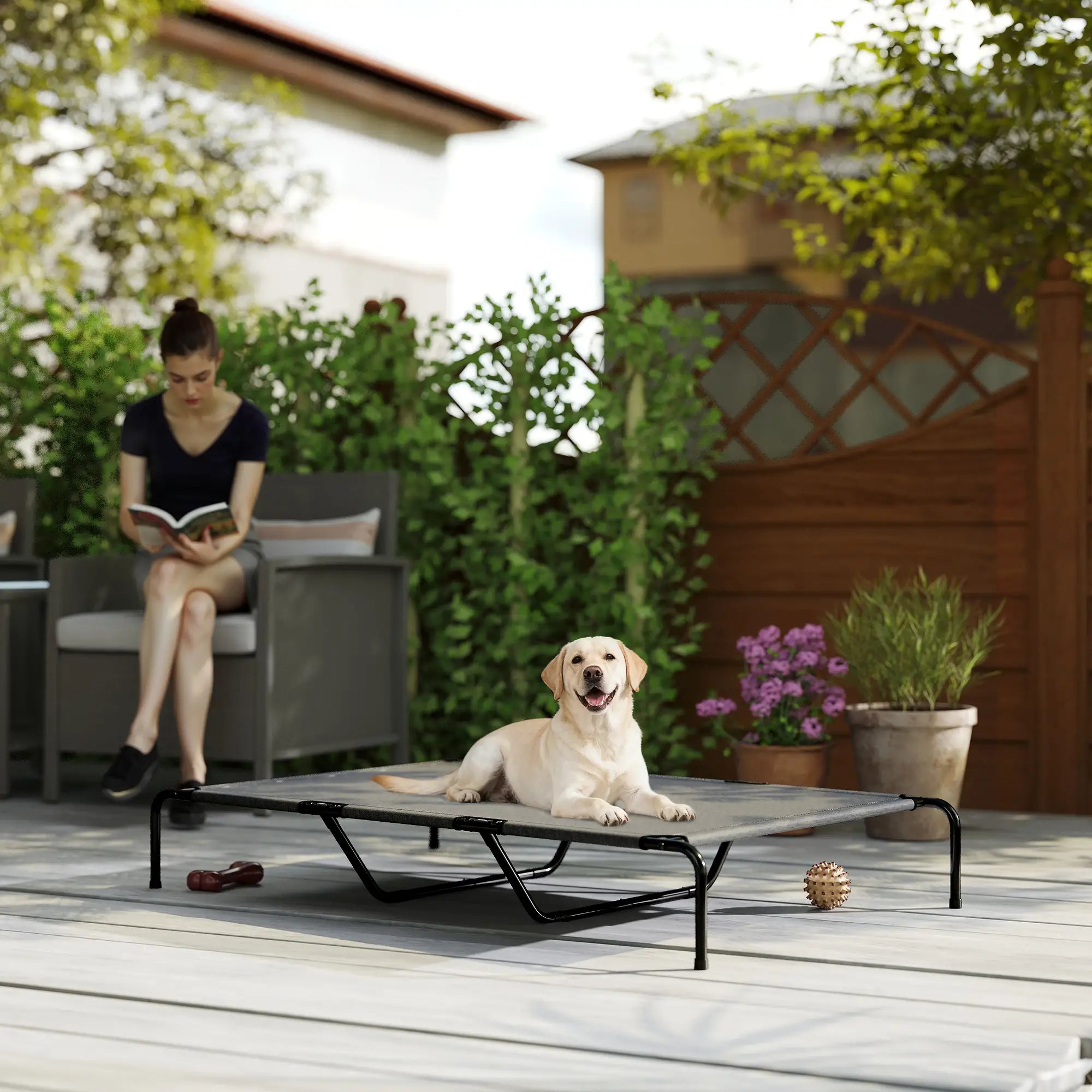 Elevated Dog Bed, Outdoor Dog Cot, Large Dogs, Breathable Mesh, Grey Elevated Dog Beds at Gallery Canada
