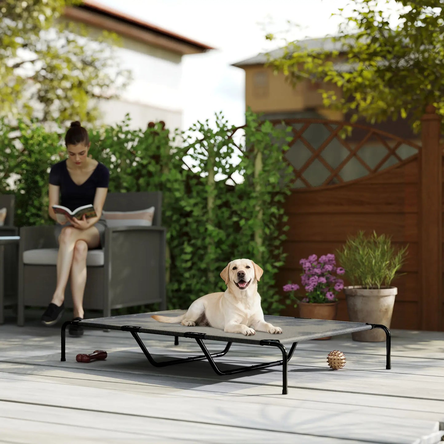 Elevated Dog Bed, Outdoor Dog Cot, Large Dogs, Breathable Mesh, Grey Elevated Dog Beds at Gallery Canada