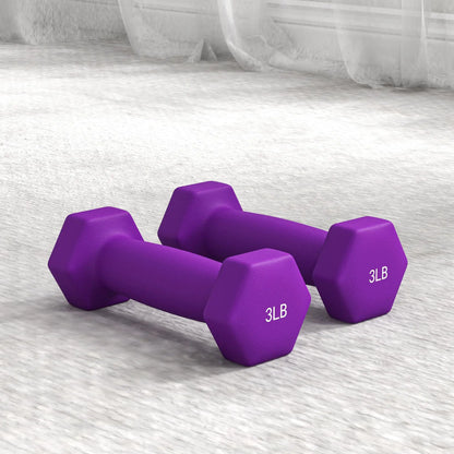 2 x 2 lbs., 2 x 3 lbs., 2 x 5 lbs. Dumbbells Set, Hand Weights for Gym Dumbbells & Barbells at Gallery Canada