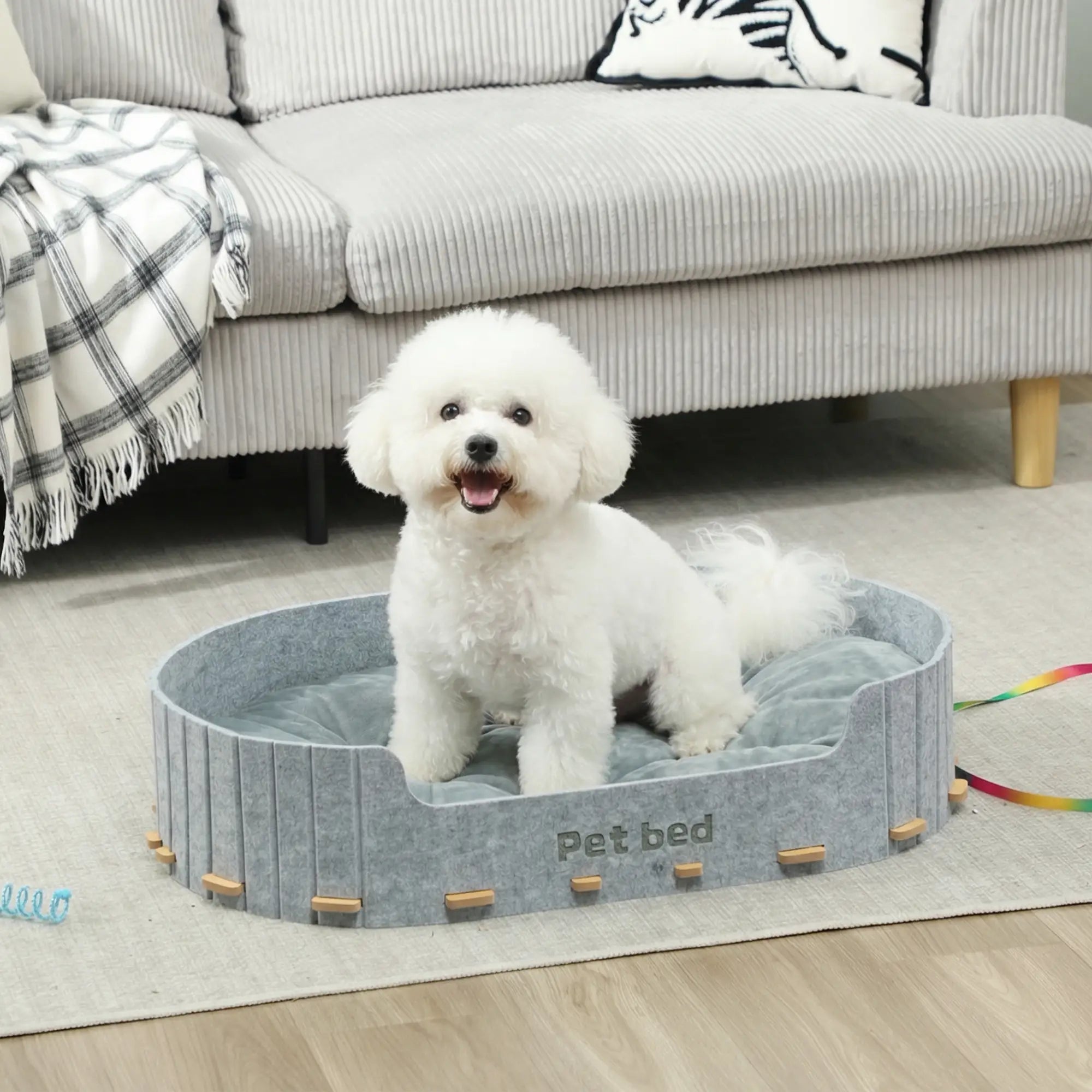 Washable Removable Cushion, Scratch-Resistant Cat Couch Sofa, Grey Dog Sofas at Gallery Canada