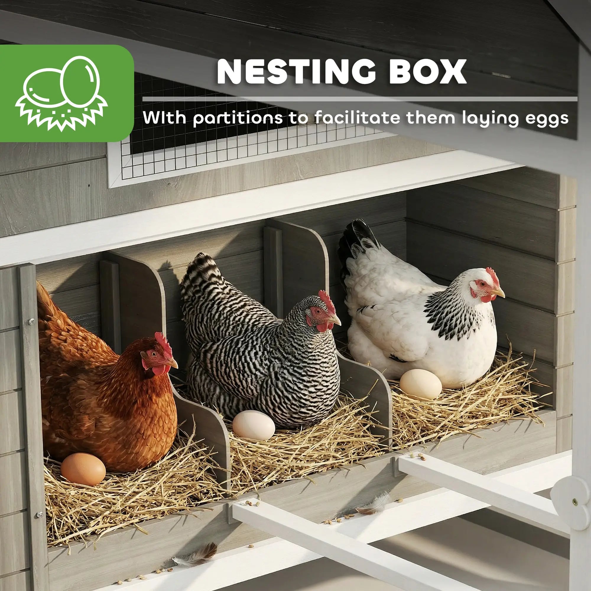 Wooden Chicken Coop With Run, Nesting Box, 137